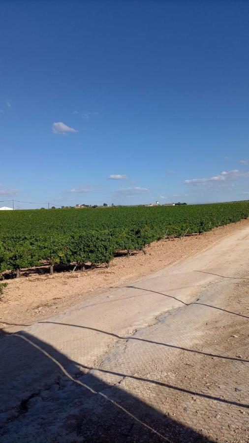 Alojamiento Rural Casa Los Arenales Kordoba Bagian luar foto